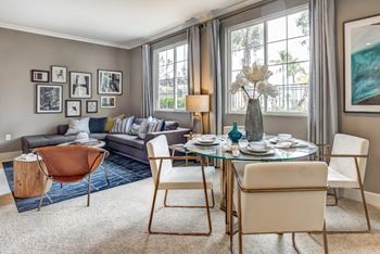 Lots of natural light in apartment